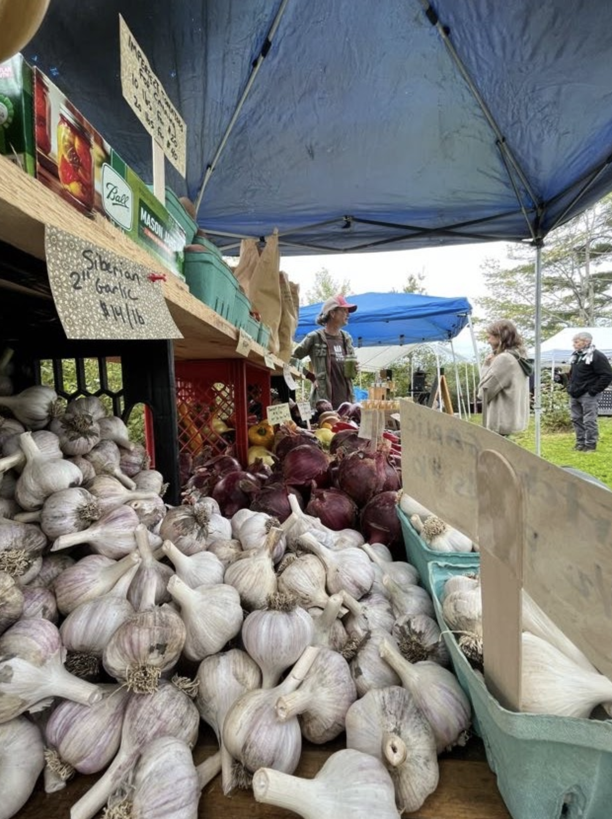 Maine's Garlic Fest at Lake George Regional Park